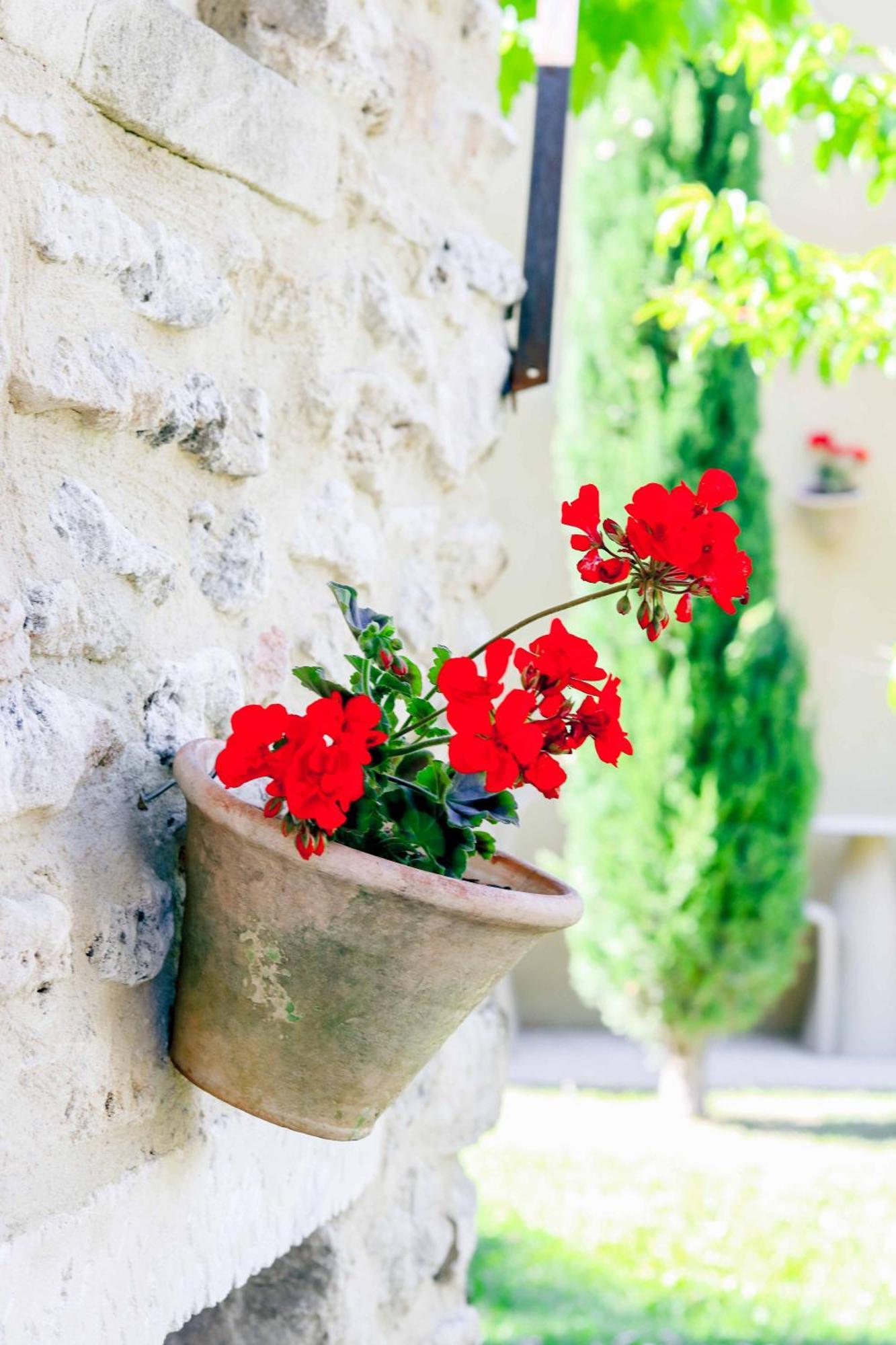 Logis La Bastide De Grignan Hotel & Restaurant "La Chenaie" Exterior foto