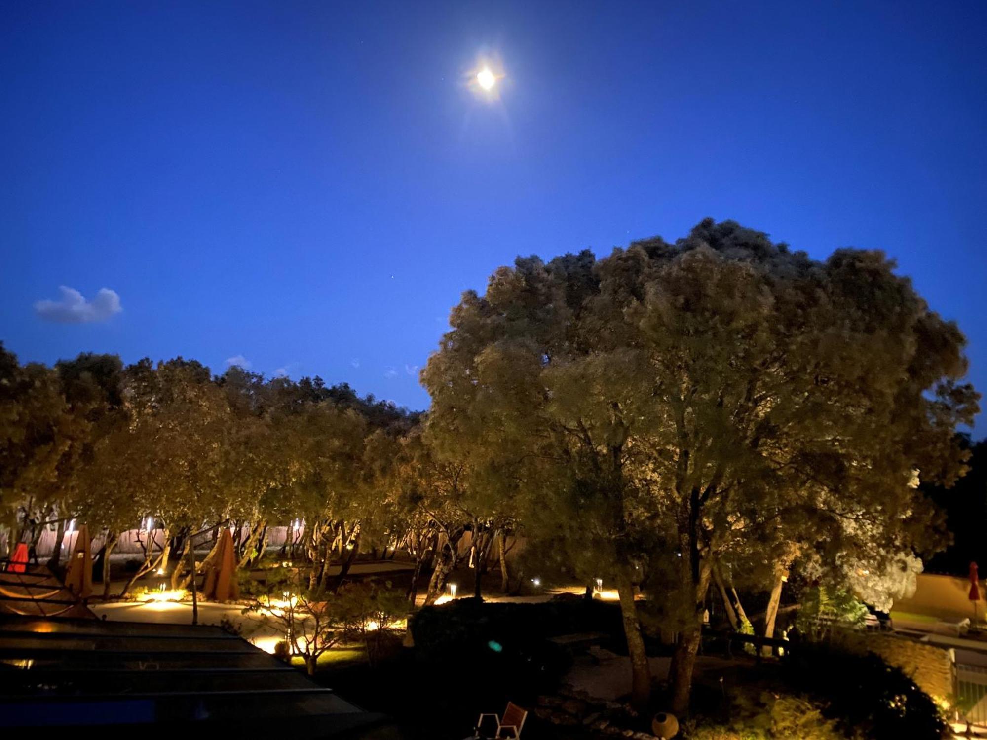 Logis La Bastide De Grignan Hotel & Restaurant "La Chenaie" Exterior foto